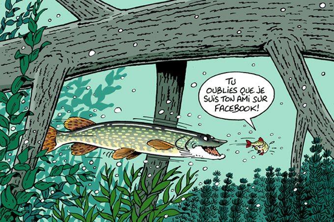 Semnale - 404862505273286191136432585117n.jpg